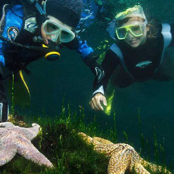 Scuba diving in california